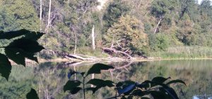 IMG_20250828_081153.jpg