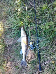 IMG_20250911_161314.jpg