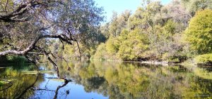 IMG_20250914_095441.jpg