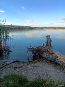 IMG_20250927_155446206.jpg
