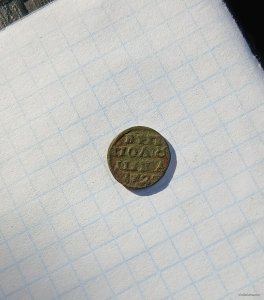 20250929_084611.jpg