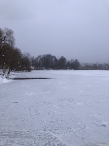 photo_2025-12-31_15-32-24 (2).jpg