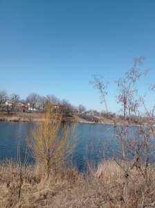 IMG-a66c201bdc8d695746fcbec6b5a8980d-V.jpg