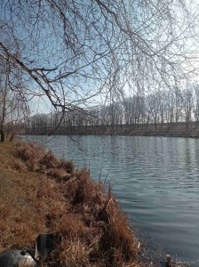 IMG-cf1f2de8f2b513579313b1e280bb9297-V.jpg