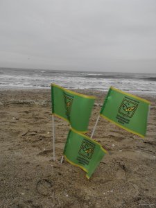 IMG_20201224_143646.jpg