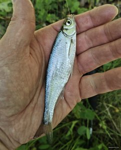 IMG_20260516_153652.jpg