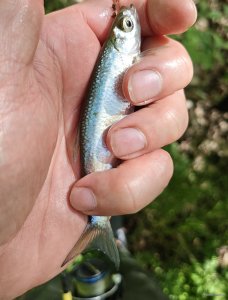 IMG_20260516_153735.jpg