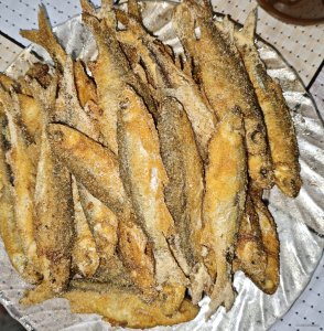 IMG_20260516_180616.jpg