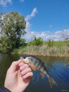 IMG_20260527_141339.jpg