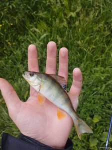 IMG_20260527_130533.jpg