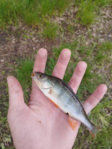 IMG_20260527_121236.jpg
