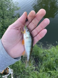 IMG_8535.jpeg