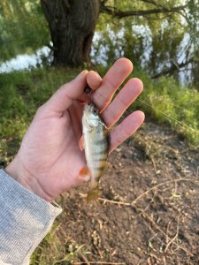 IMG_8533.jpeg