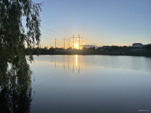IMG_8534.jpeg