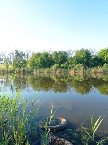 IMG_20260606_064617.jpg
