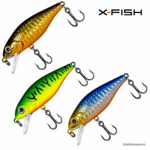 vobler-x-fish-perch-f-19170812.jpg