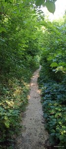 IMG_20260626_153204.jpg
