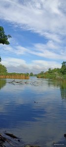 IMG_20260626_153147.jpg