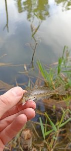 IMG_20260626_153050.jpg