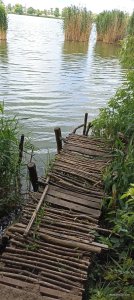 IMG_20260626_152921.jpg