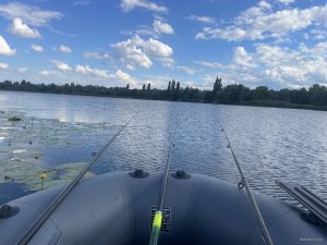 IMG_8774.jpeg