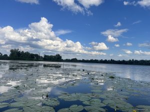 IMG_8775.jpeg
