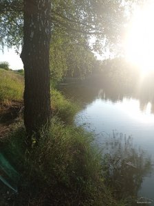 IMG_20260707_191718.jpg
