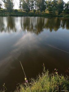 IMG_20260707_191700.jpg