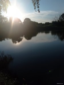 IMG_20260707_191642.jpg