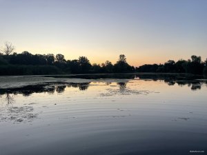 IMG_9044.jpeg