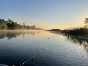 IMG_9047.jpeg