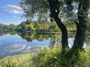 IMG_9039.jpeg