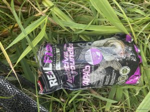 IMG_5068.jpeg