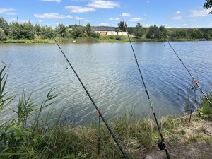 IMG_5087.jpeg