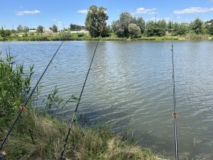 IMG_5086.jpeg
