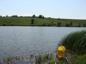 DSC02758~2.jpg