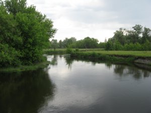IMG_0920.JPG