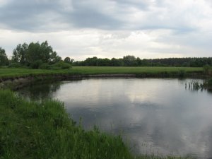 IMG_0926.JPG