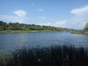 DSC00030.jpg
