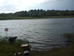 DSC00033.jpg
