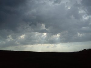 DSC00034.jpg