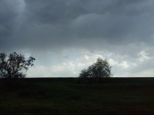 DSC00035.jpg