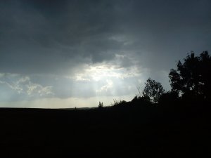 DSC00036.jpg