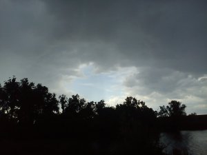 DSC00038.jpg
