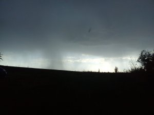 DSC00040.jpg