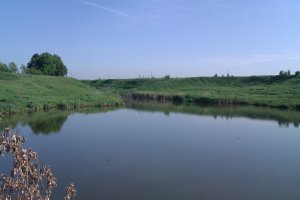 IMAG0230.jpg