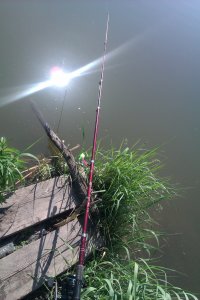 IMAG0234.jpg