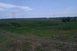 IMAG0239.jpg
