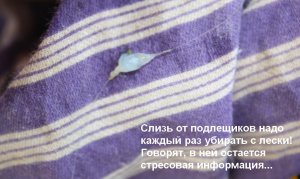 Копия 666 074.jpg