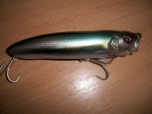 100_6912.jpg